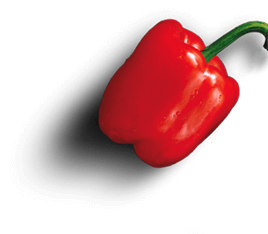 img-pepper1.png